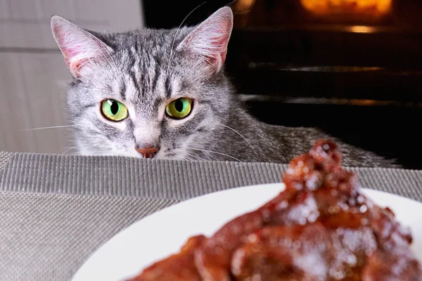 Cat close-up glances at piece meat. Pet watch from behind kitchen table. Gray cat looks at background of kitchen and a large piece meat on a plate. Bad food for cats.