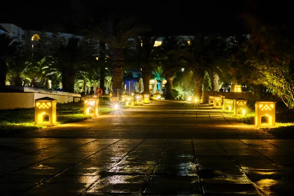 Night lights illuminate the road near the palm trees. Night landscape, starry sky