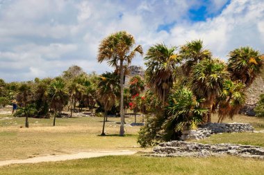 Cozumel, Meksika Maya Harabeleri