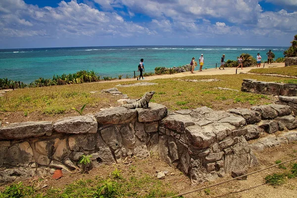 Cozumel México Ruinas Mayas —  Fotos de Stock