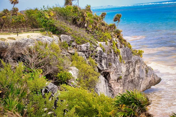 Cozumel México Ruinas Mayas —  Fotos de Stock