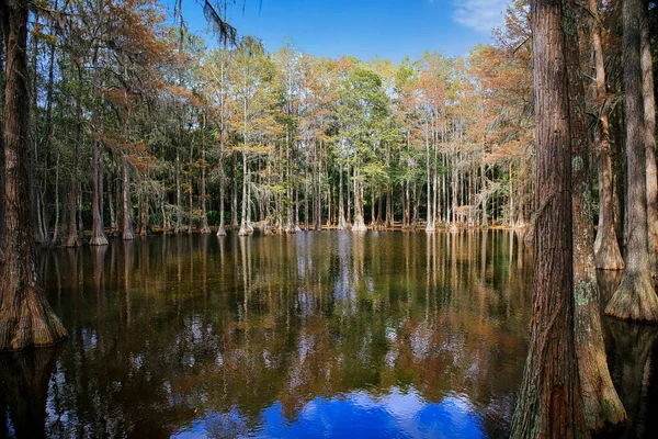 Paisaje Naturaleza Mejor Momento — Foto de Stock