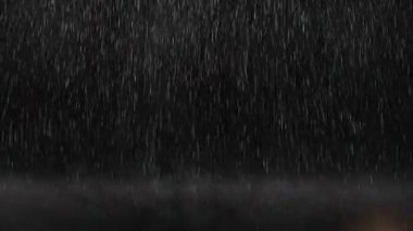 Geceleri yıldızlı bir gölün üzerinde uçan martıların döngüsü.