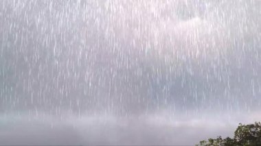 Geceleri yıldızlı bir gölün üzerinde uçan martıların döngüsü.