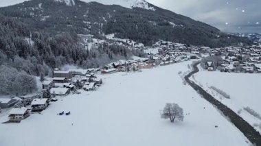 Geceleri yıldızlı bir gölün üzerinde uçan martıların döngüsü.