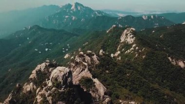 Martılar Görkemli Karlı Dağ Tepelerinde Yükseliyor