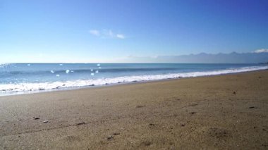 Kumsalda uçan bir martı sürüsü.