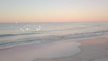 Güneşli sahil manzaralı bir arka planda uçan martı sürüsü.