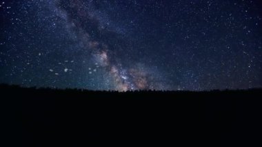 Martıların Silueti Yıldızlı Gökyüzünün Altında Gece Uçuyor