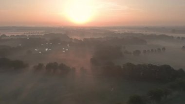 Güneşin doğuşunda Süzülen Martılar