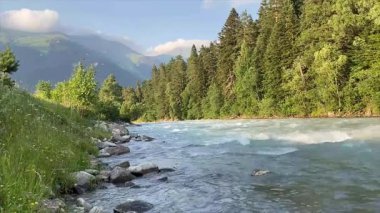  Ormandaki huzurlu bir nehrin üzerinde uçan martılar.