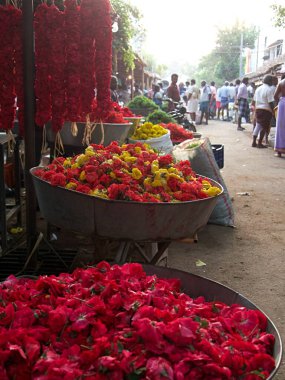 Tapınak adakları için Güney Hindistan, Trichy 'deki pazar yerinde çiçekler.