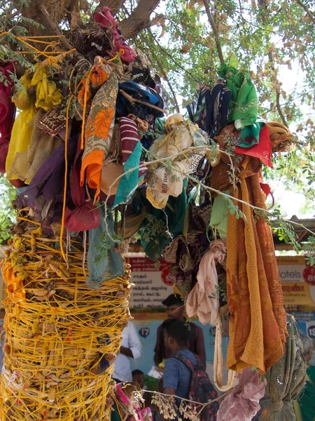 Lucky Sjaals Boom Trichy Zuid India Hoge Kwaliteit Foto — Stockfoto