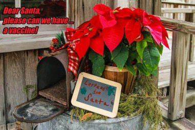 Funny letter to Santa asking for a vaccine for Covid-19 with poinsettia for Christmas 2020 with pandemic. High quality photo clipart