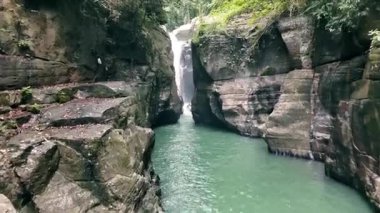 Flores Adası 'ndaki ormanda cunca wulang şelalesi