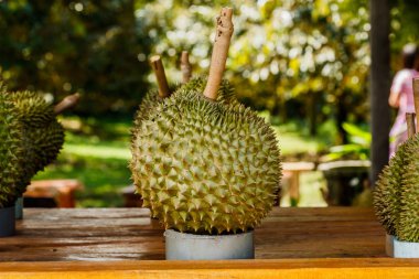 Tropik meyve durian Pazar masada.