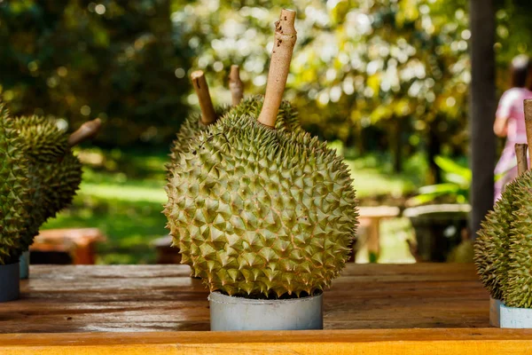 Tropik meyve durian Pazar masada.