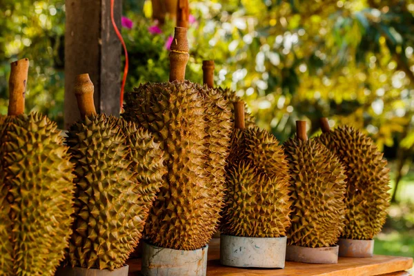 Trópusi Gyümölcs Durian Piaci Táblázat — Stock Fotó