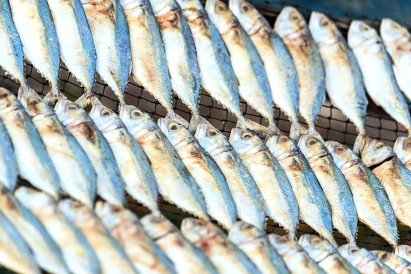 Pesce indiano essiccato allo sgombro nel mercato dei frutti di mare essiccati . — Foto Stock