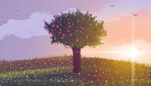 Apfelbaum auf einem Hügel mit Blumen bei Sonnenuntergang. Vögel fliegen in den Wolken. — Stockvektor
