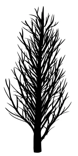 Vektorillustration. Silhuett av naket träd på vit bakgrund. — Stock vektor