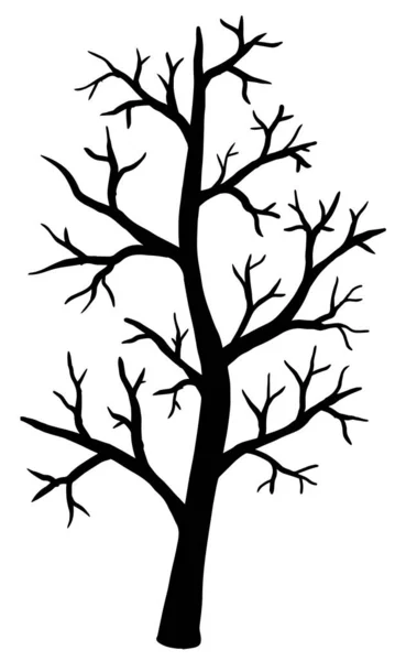 Vektorillustration. Silhouette des nackten Baumes auf weißem Hintergrund. — Stockvektor