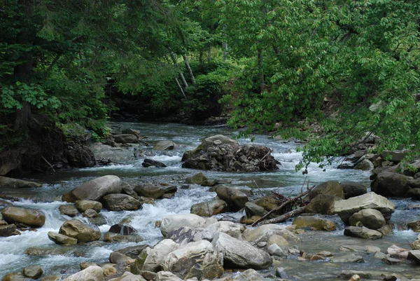 Karpatlar Prut Nehri — Stok fotoğraf