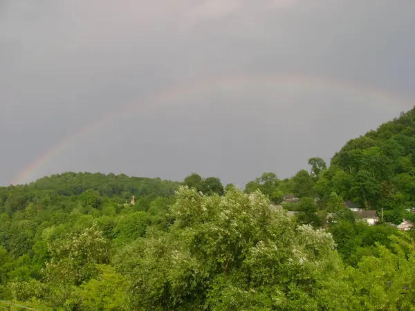 Karpat Dağları ve Ormanlarının İhtişamı