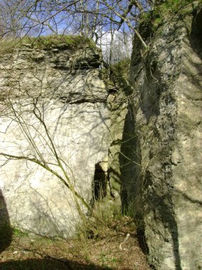 Rocky, sığ, dağ yamacı