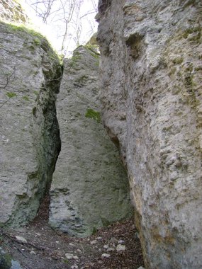 Rocky, sığ, dağ yamacı