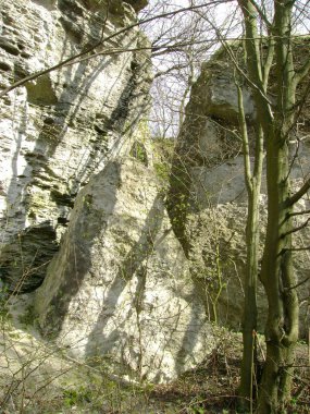 Rocky, sığ, dağ yamacı