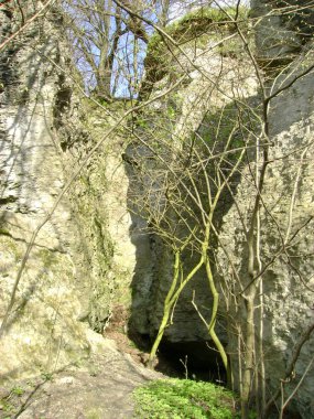 Rocky, sığ, dağ yamacı