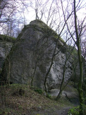 Rocky, sığ, dağ yamacı
