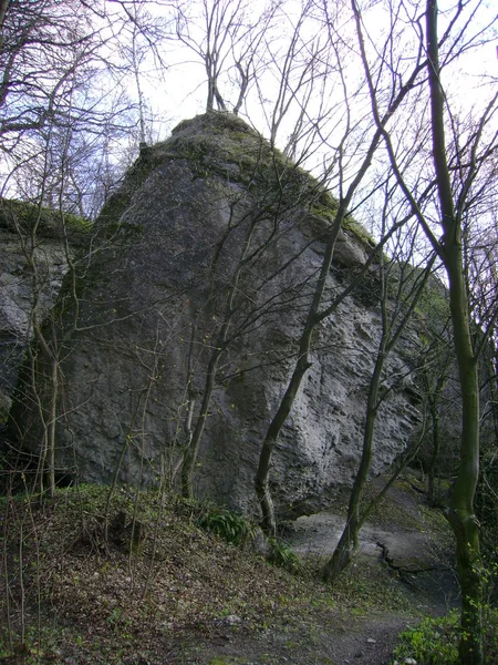 Rocky, sığ, dağ yamacı