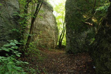 Rocky, sığ, dağ yamacı