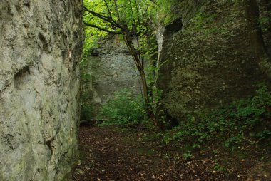 Rocky, sığ, dağ yamacı