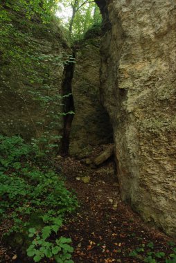 Rocky, sığ, dağ yamacı