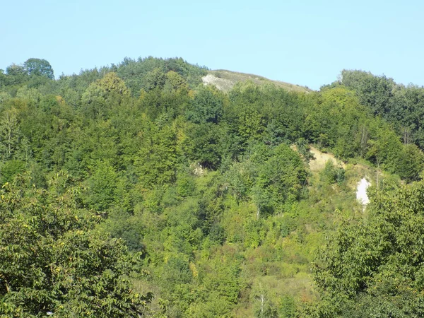 Delikatne Zbocza Karpat — Zdjęcie stockowe