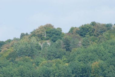 Karpat Dağlarının yumuşak yamaçları