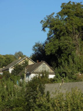 Karpat Dağlarının yumuşak yamaçları