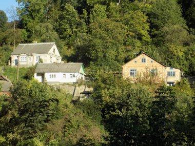 Karpat Dağlarının yumuşak yamaçları