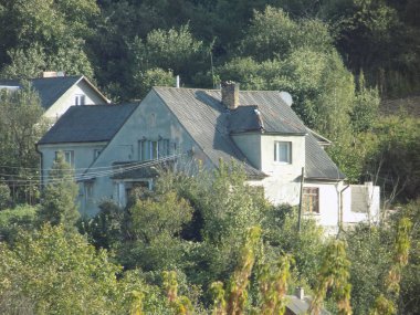 Karpat Dağlarının yumuşak yamaçları