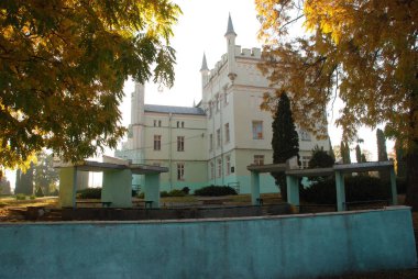 Kont Vorontsov Sarayı, genel görüş