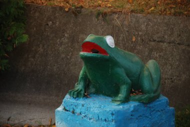 Botanik bahçesinde kurbağa heykeli