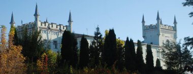 Kont Vorontsov Sarayı, genel görüş