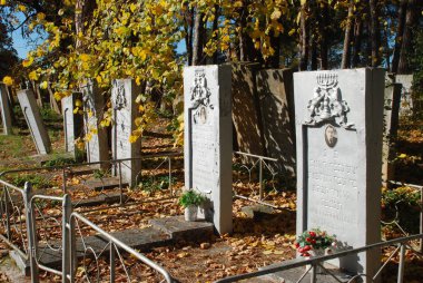 Ukrayna 'nın Khmelnytsky bölgesindeki Slavuta şehrinde eski bir Yahudi mezarlığı.