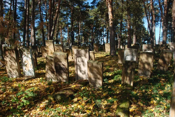 Antiguo Cementerio Judío Ciudad Slavuta Región Khmelnytsky Ucrania —  Fotos de Stock