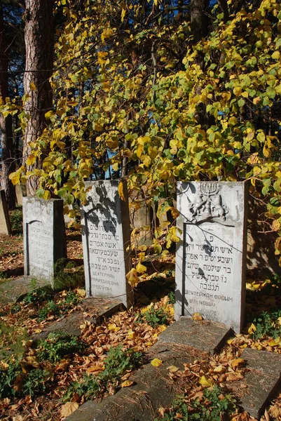 Ein Alter Jüdischer Friedhof Der Stadt Slawuta Region Chmelnyzky Ukraine — Stockfoto