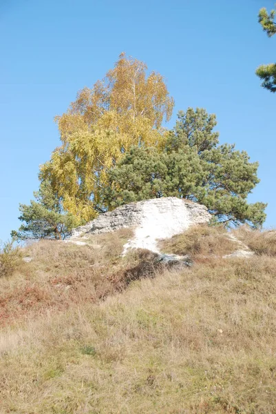 Rocheux Peu Profond Pente Montagne — Photo