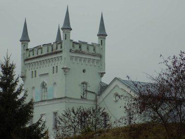 Kont Vorontsov Sarayı, genel görüş